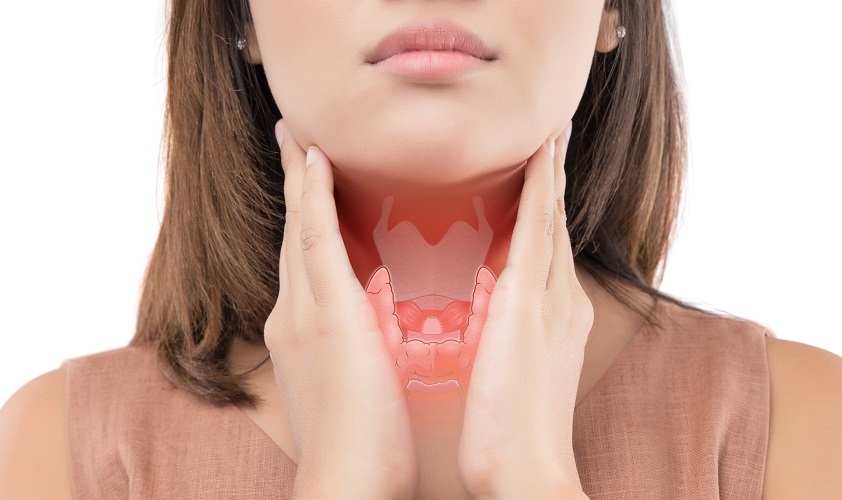 Гормоны щитовидной железы