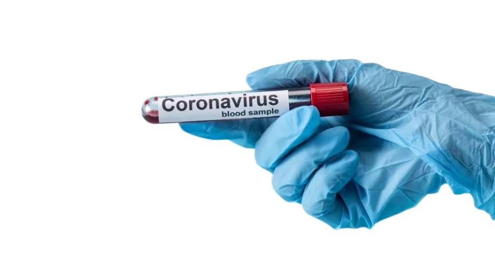 Тестирование на Covid