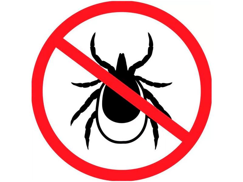 Программа "СТОП КЛЕЩ"