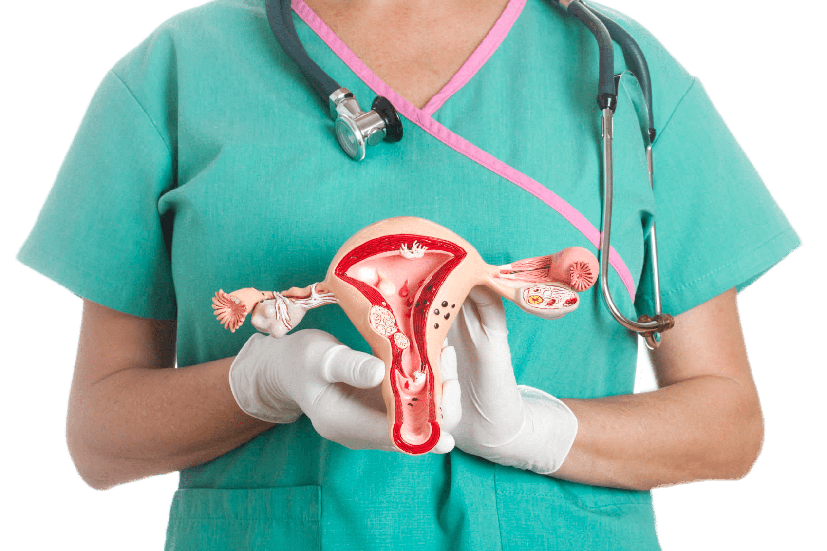 Приём гинеколога + Осмотр молочных желез + УЗИ малого таза